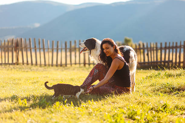 Playing with cats and dogs in the beautiful outdoors Young woman enjoys playing in the nature with her pets - a cute domestic cat and a shepherd dog, on the sunny day under the mountains in the rural countryside of Southern Europe.  yoga pants photos stock pictures, royalty-free photos & images