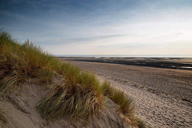 istock Summer evening landscape view over grassy sand dunes on beach 525616137