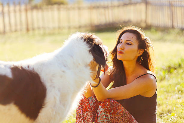 istock love and care to the animals 525623645