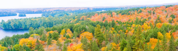 istock Fall colors Algonquin Park, Ontario, Canada. 525623773