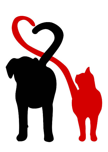 ilustraciones, imágenes clip art, dibujos animados e iconos de stock de silueta perro y gato hacer un corazón en la cola - tail