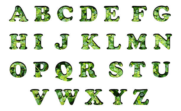 istock Set of alphabet green leave background texture 525637275