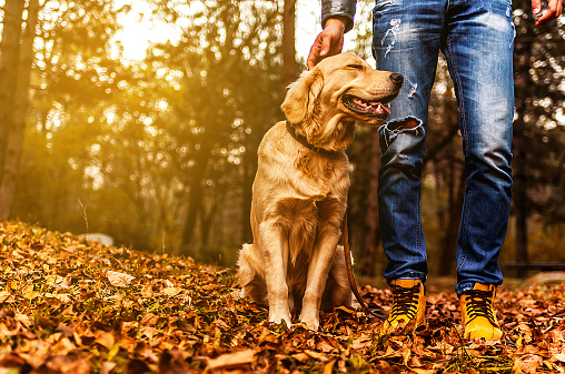 Man enjoying with his dog in a park in autumn day