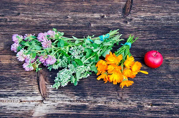 summer medical herbs flowers and apple on old wooden background