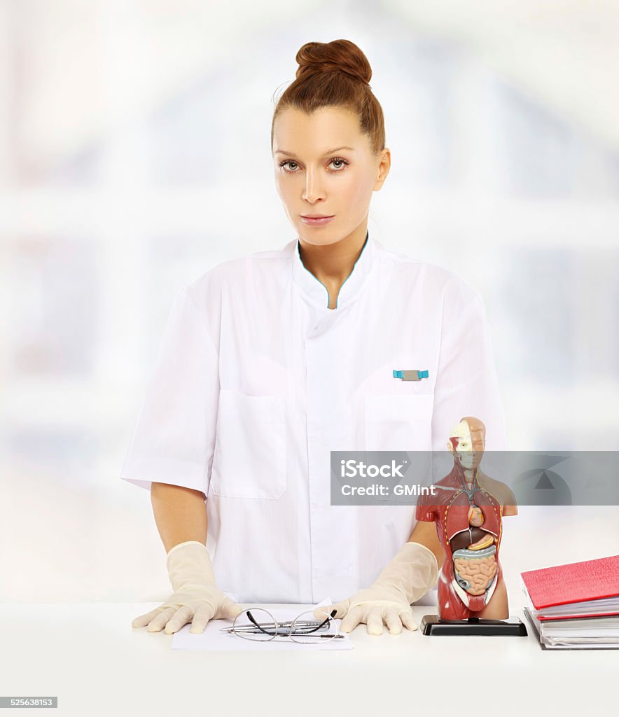 Doctor standing by her desk Doctor standing by her desk and looking at camera, human anatomical model on the table Adult Stock Photo