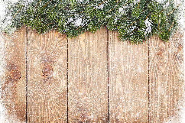 istock Old wood texture with snow and firtree 525638273