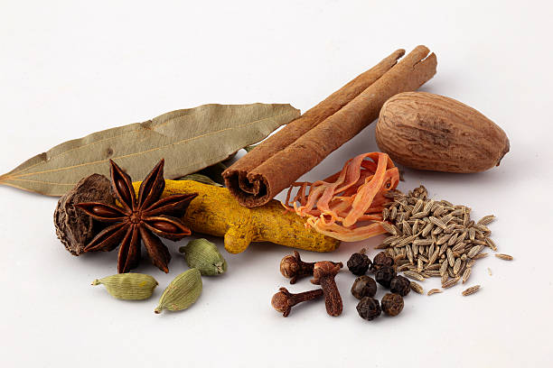 Various dried Indian spices stock photo