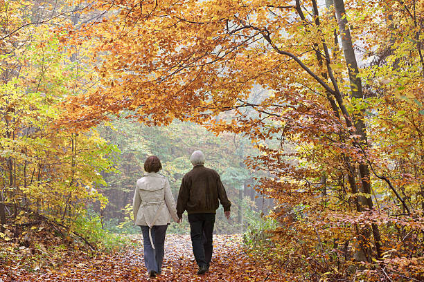 vista posterior de la pareja senior caminando en el bosque de otoño - november tranquil scene autumn leaf fotografías e imágenes de stock