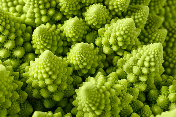 Romanesco broccoli Backgrounds and textures: abstract green natural background, Romanesco broccoli (Brassica oleracea), close-up shot, selective focus fractal plant cabbage textured stock pictures, royalty-free photos & images