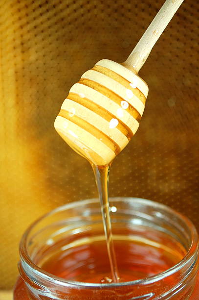 istock Honey dripping from a wooden honey dipper on honeycomb background 525652937