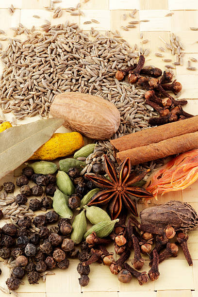 Various dried Indian spices stock photo