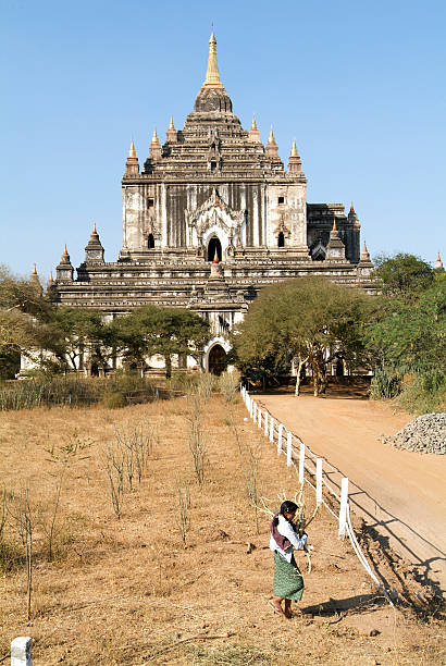 templo thatbyinnyu no sítio arqueológico de bagan - pagoda bagan tourism paya zdjęcia i obrazy z banku zdjęć