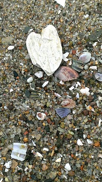 istock Heart shaped stone on a Martha's Vineyard beach 525654903