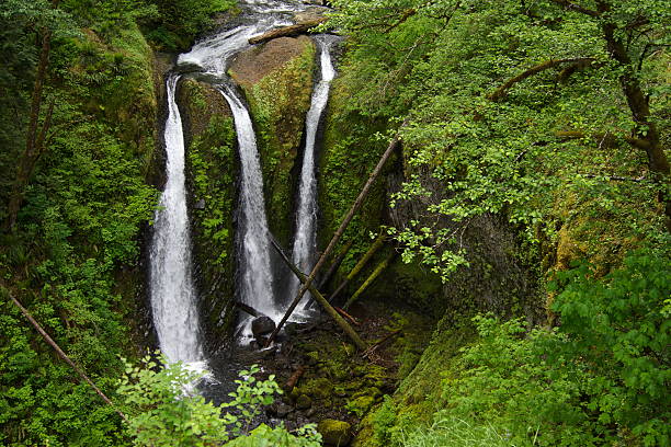 oregon s tripla cascata - triple falls immagine foto e immagini stock