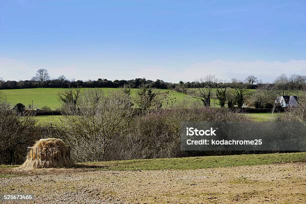 There Are Balls Stock Photo - Download Image Now - Agricultural Field, Agriculture, Bale