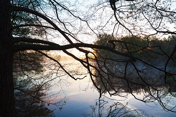 istock Spring sunrise and fog at Ruhr 525674673