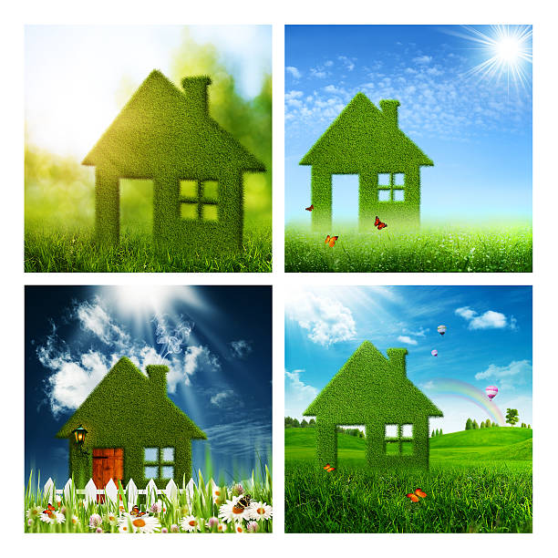 istock Set of assorted eco and environmental backgrounds for your desig 525674709