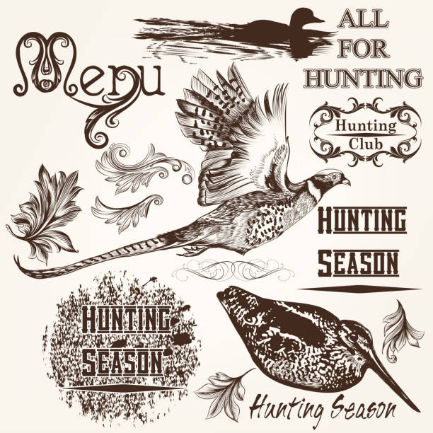 Set of vector detailed animals for design