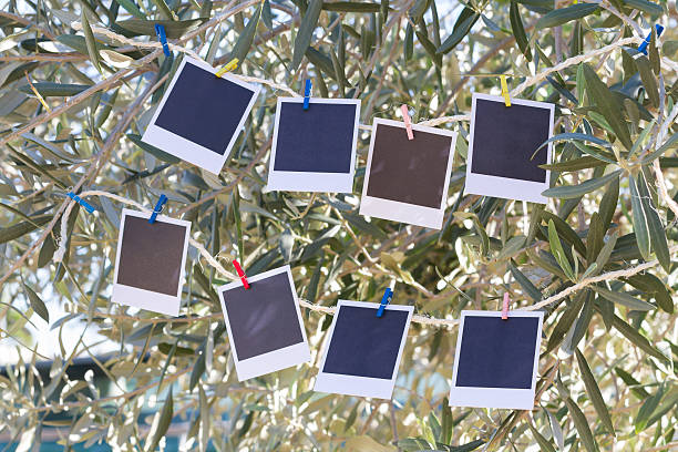 istock Set of photos hanging on clothesline. 525689573