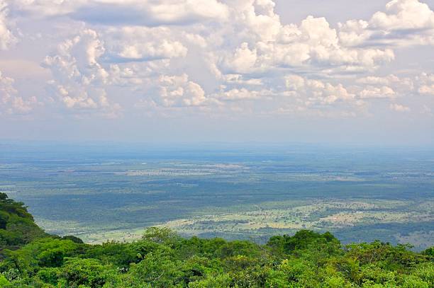 istock Pantanal View From Serra das Araras Brazil 525692995
