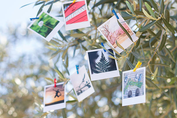 istock Set of photos hanging on clothesline. 525693861