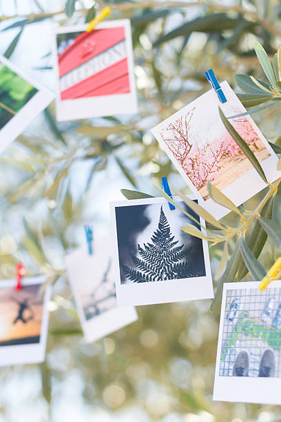 istock Set of photos hanging on clothesline. 525693969