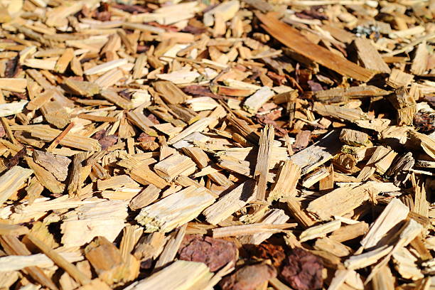 istock small pieces of wood 525694717