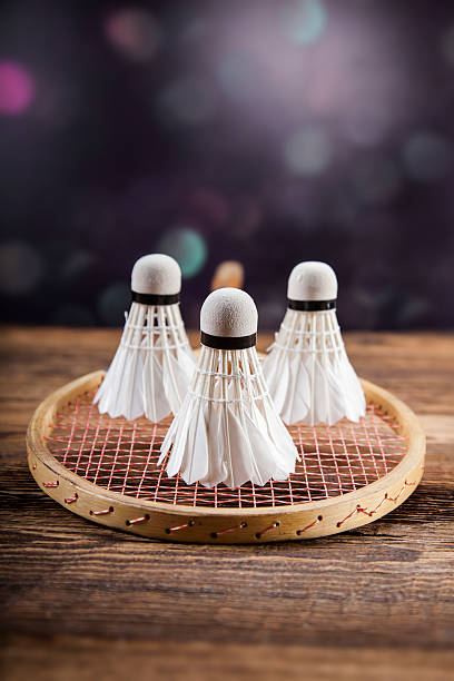 Set of badminton. Paddle and the shuttlecock. stock photo
