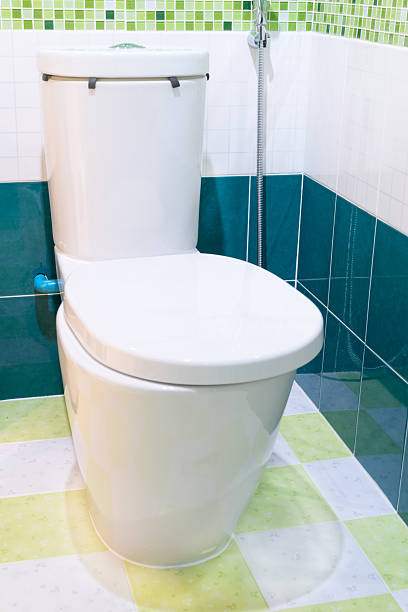 istock flush toilet seat with green tile 525695431
