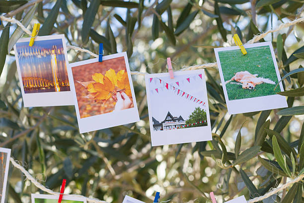 istock Set of photos hanging on clothesline. 525695599