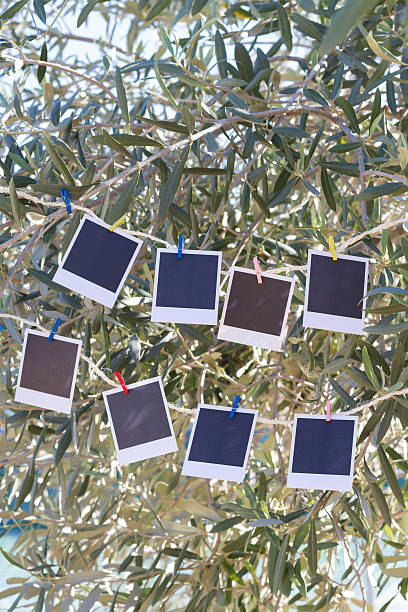 istock Set of photos hanging on clothesline. 525695627