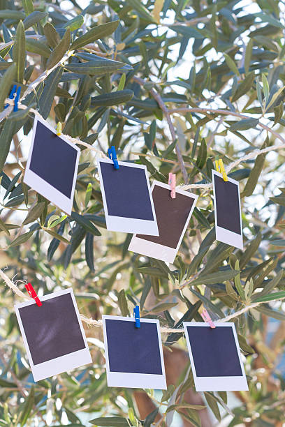 istock Set of photos hanging on clothesline. 525695661