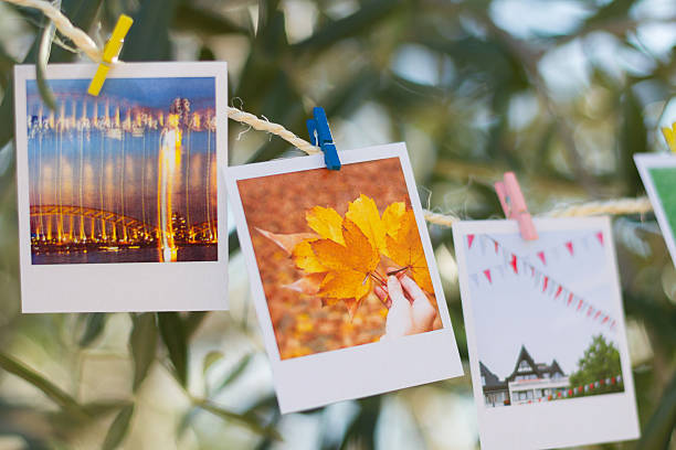istock Set of photos hanging on clothesline. 525695807