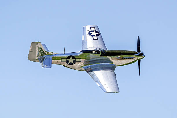 p51 mustang - p 51 mustang fotos - fotografias e filmes do acervo
