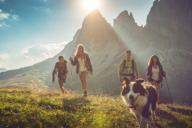 Adventures on the Dolomites with dog A group of teenage friends, together with a dog (border collie), adventures on the mountain, on the Italian Dolomites. alto adige italy photos stock pictures, royalty-free photos & images