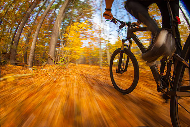 istock Mountain biking along a trail in the bright sun. 525726066
