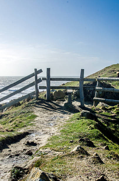 istock Coastal footpath background in England 525726508