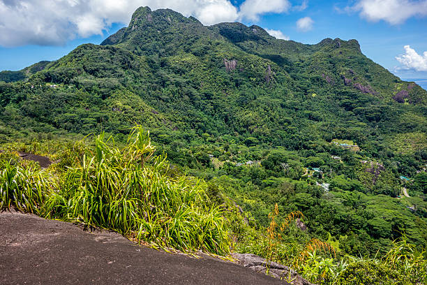 istock Morne Seychellois National Park - Mahe - Seychelles 525733796