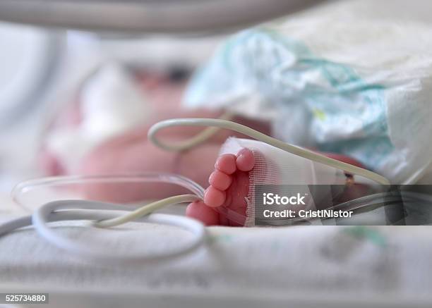 Newborn Baby Stock Photo - Download Image Now - Baby - Human Age, Hospital, Newborn