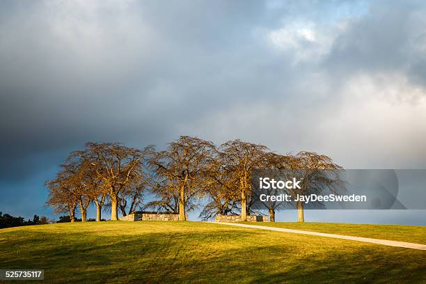 Elm Grove At Woodland Cemetery Stock Photo - Download Image Now - Backgrounds, Cloud - Sky, Cloudscape