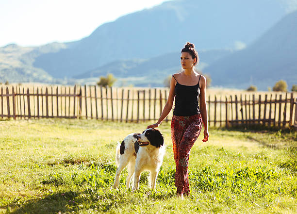 istock Young girl enjoys walking with her shepherd dog 525735263