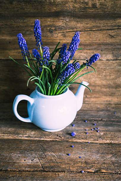 istock Blue flowers in a vase. Vintage 525736458