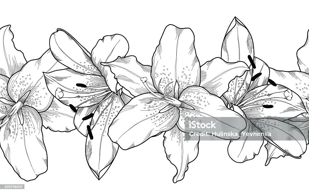 seamless horizontal frame element of gray lily  flowers. Beautiful monochrome, black and white seamless horizontal frame element of gray lily  flowers. Hand-drawn contour lines and strokes. Lily stock vector