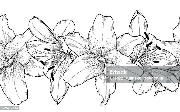 Seamless Horizontal Frame Element Of Gray Lily Flowers Stock Illustration - Download Image Now