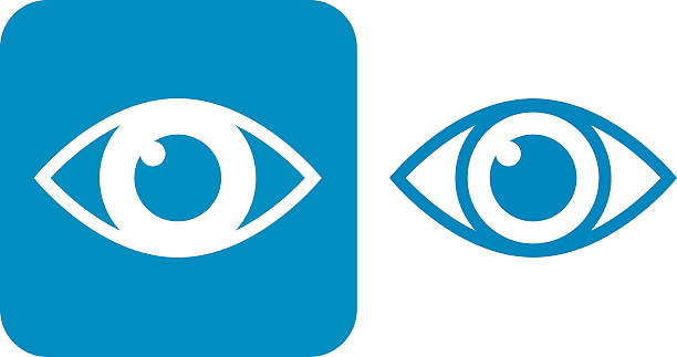 Blue Eye Icons Vector illustration of two blue eye icons. iris eye stock illustrations