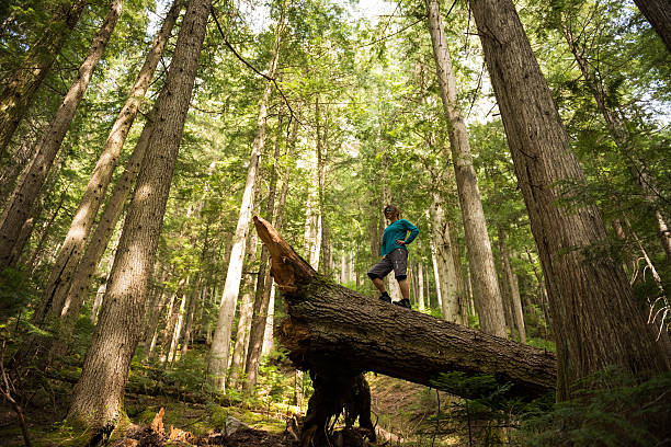 istock Hiking in stunning nature 525737110