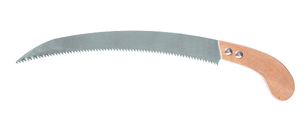 istock gardening handsaw isolated 525737311