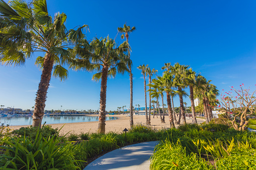 A stock photo of Mothers Beach in Marina Del Rey, California. Marina del Rey is an affluent seaside community in Los Angeles County, California. Photographed with the Canon EOS 5DSR.