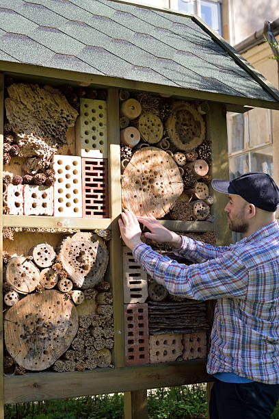 istock old insect house at a farm 525738184
