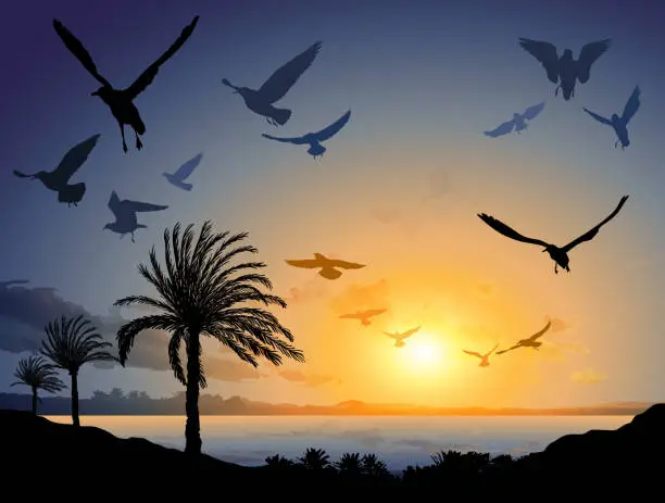 Vector illustration of Tropical sea landscape with flock of flying bird